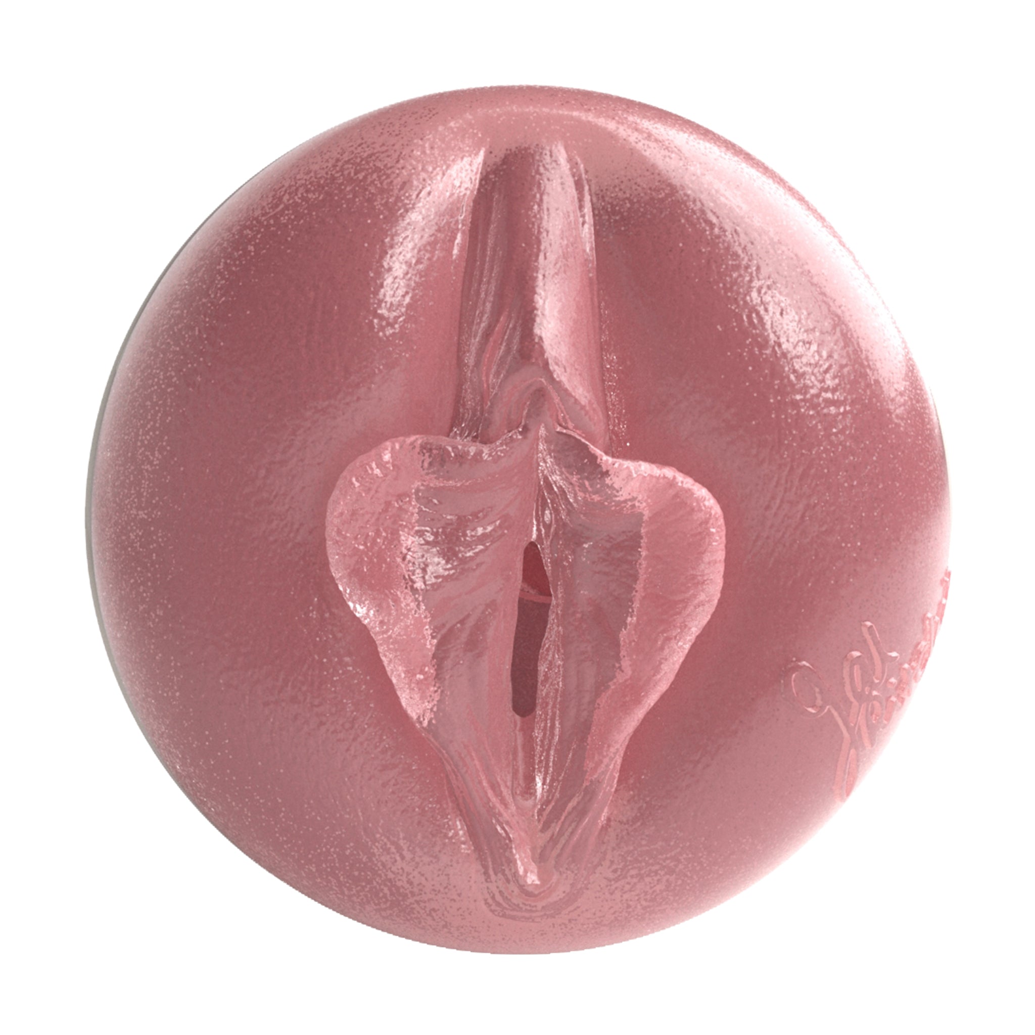 Gal Ritchie Birthday Cake Edition Fleshlight Reverse Twat With Case Fleshlight