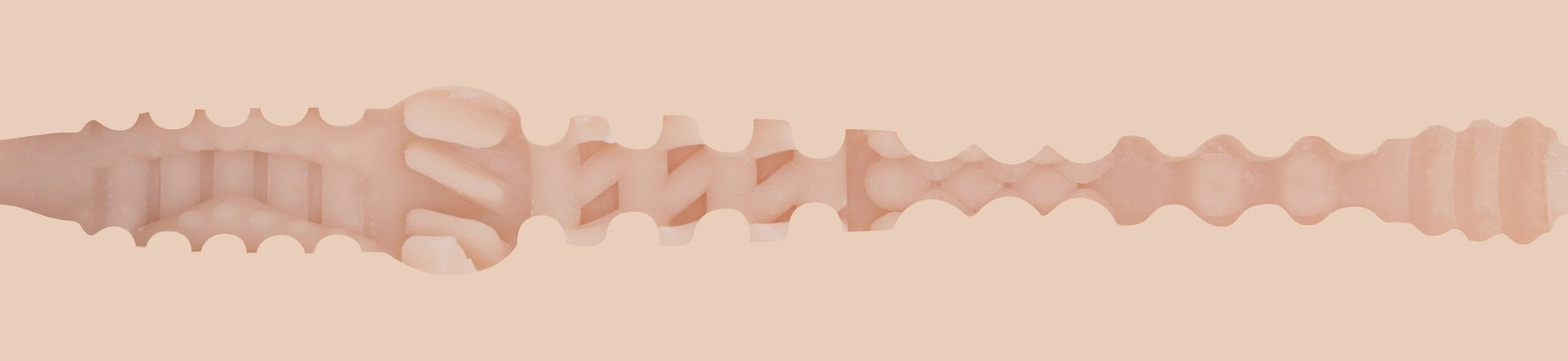 Fleshjack Boy Allen King Majestic